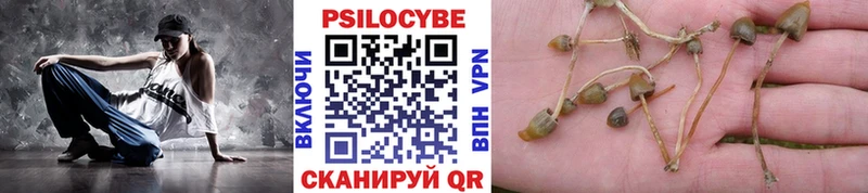 Галлюциногенные грибы прущие грибы  Красногорск 